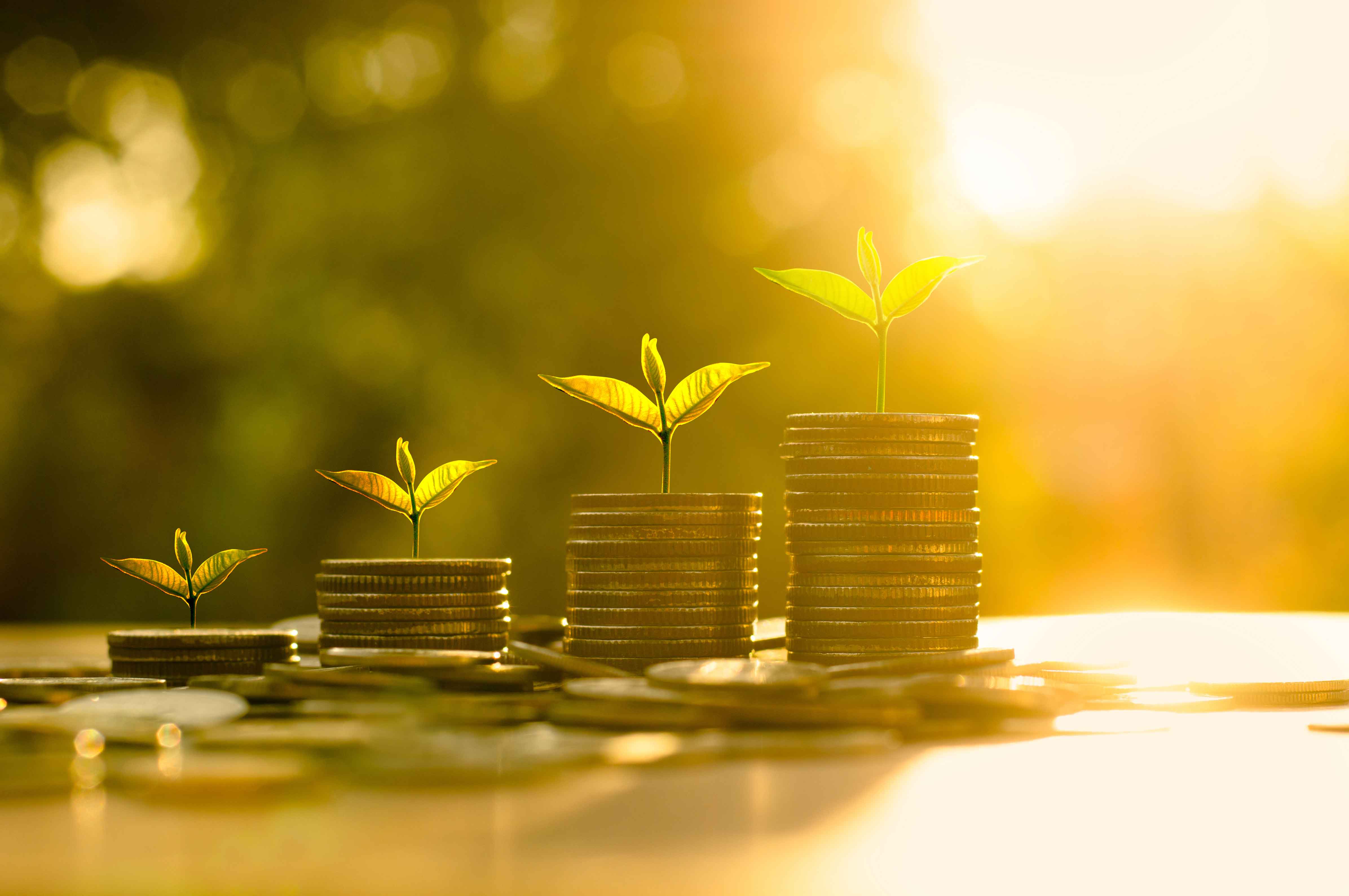 Financial Growth