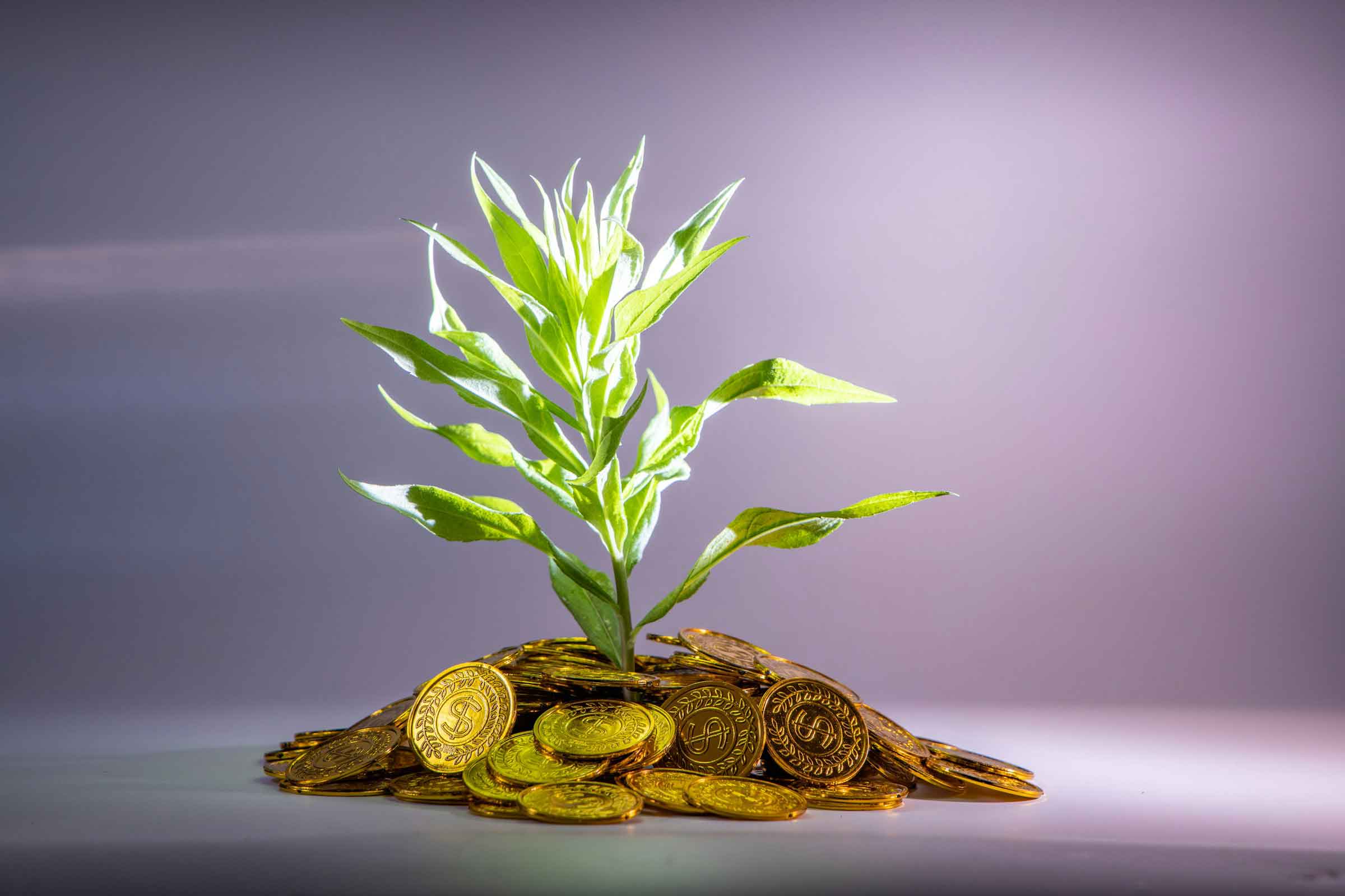 Spiritual and Material Success